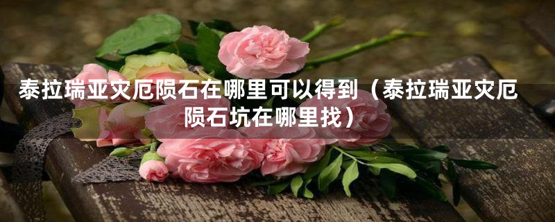 泰拉瑞亚灾厄陨石在哪里可以得到（泰拉瑞亚灾厄陨石坑在哪里找）