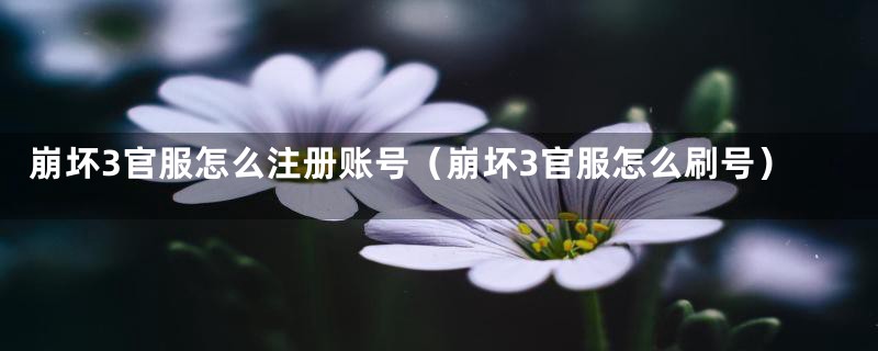 崩坏3官服怎么注册账号（崩坏3官服怎么刷号）