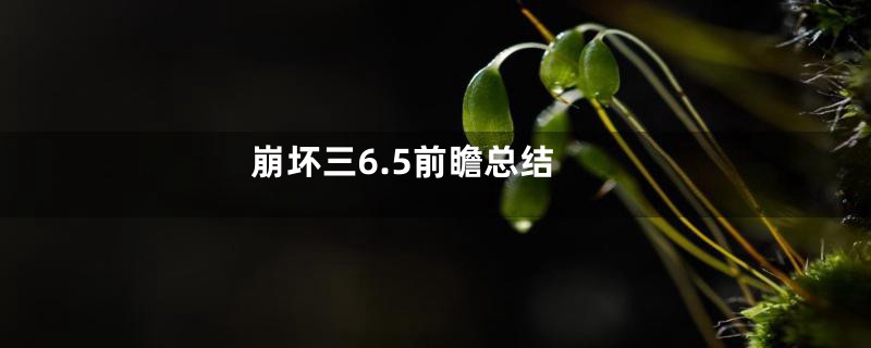 崩坏三6.5前瞻总结