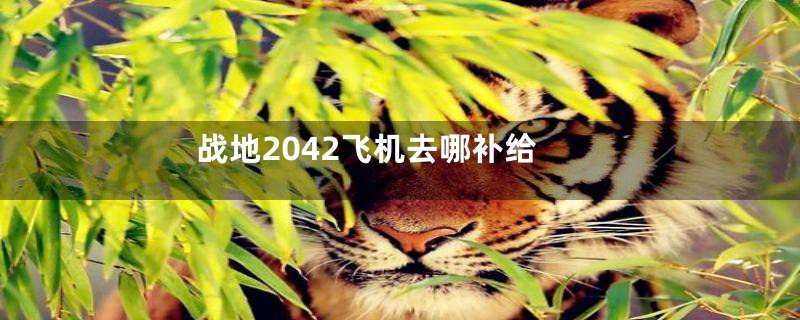 战地2042飞机去哪补给