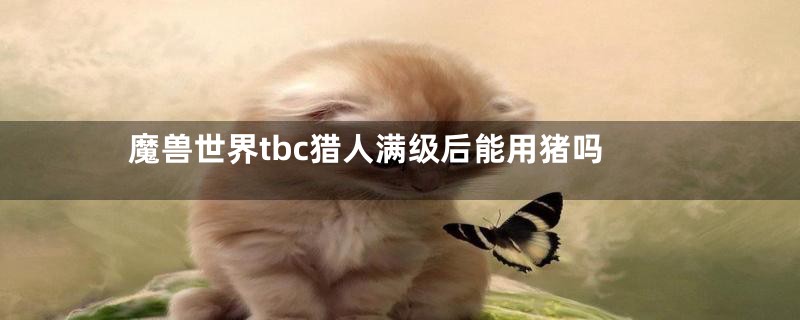 魔兽世界tbc猎人满级后能用猪吗