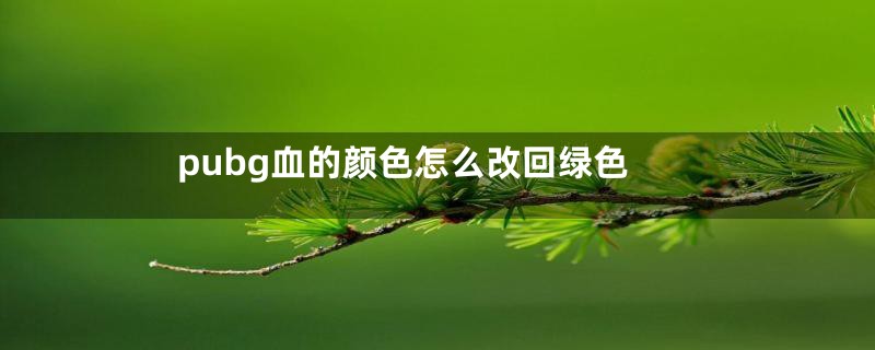 pubg血的颜色怎么改回绿色