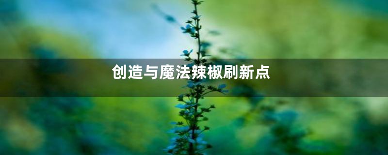 创造与魔法辣椒刷新点