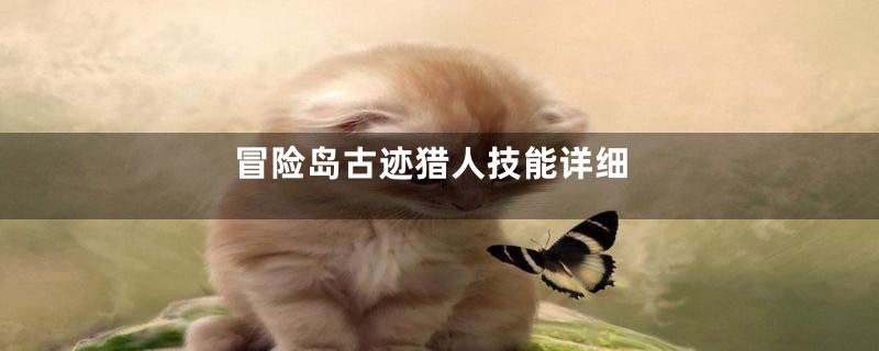 冒险岛古迹猎人技能详细