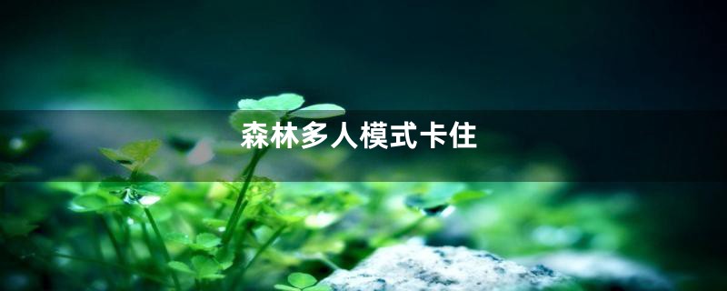 森林多人模式卡住