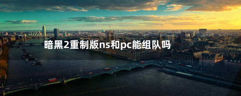 暗黑2重制版ns和pc能组队吗