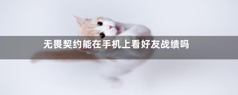 无畏契约能在手机上看好友战绩吗