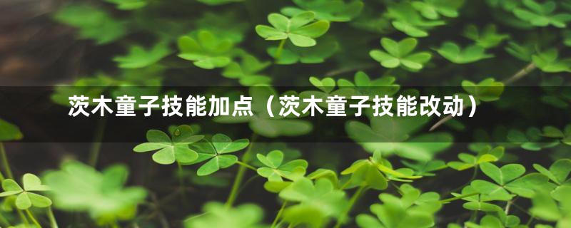 茨木童子技能加点（茨木童子技能改动）