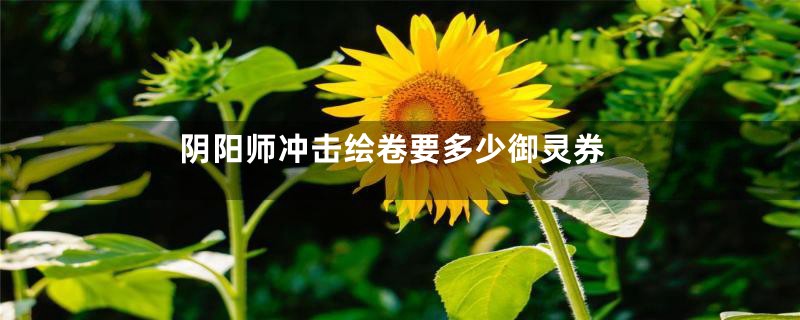 阴阳师冲击绘卷要多少御灵券