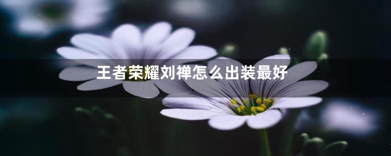 王者荣耀刘禅怎么出装最好