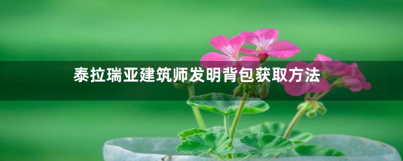 泰拉瑞亚建筑师发明背包获取方法