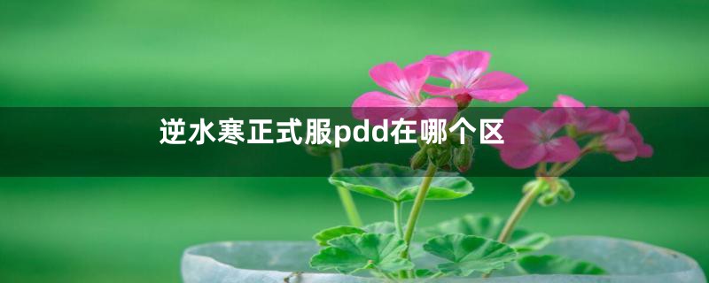 逆水寒正式服pdd在哪个区