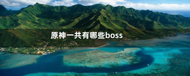 原神一共有哪些boss