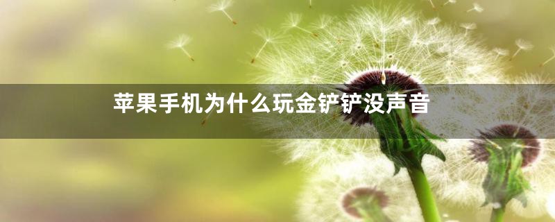 苹果手机为什么玩金铲铲没声音