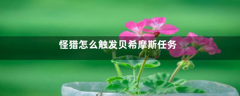 怪猎怎么触发贝希摩斯任务