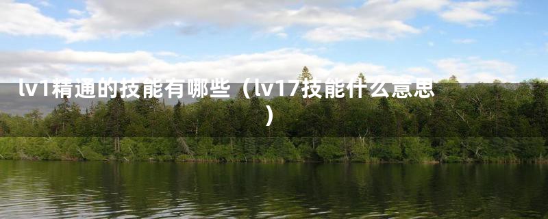 lv1精通的技能有哪些（lv17技能什么意思）