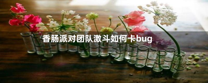 香肠派对团队激斗如何卡bug