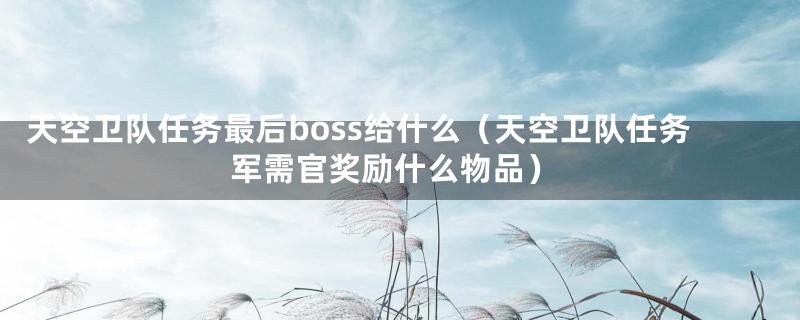 天空卫队任务最后boss给什么（天空卫队任务军需官奖励什么物品）