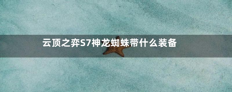 云顶之弈S7神龙蜘蛛带什么装备