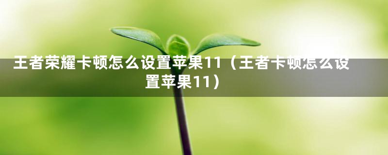 王者荣耀卡顿怎么设置苹果11（王者卡顿怎么设置苹果11）