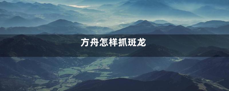 方舟怎样抓斑龙