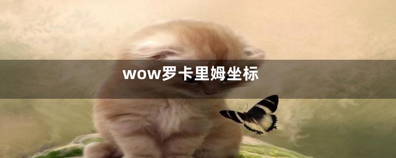 wow罗卡里姆坐标