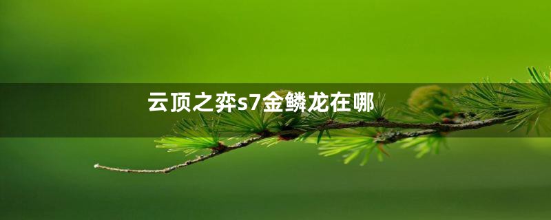 云顶之弈s7金鳞龙在哪