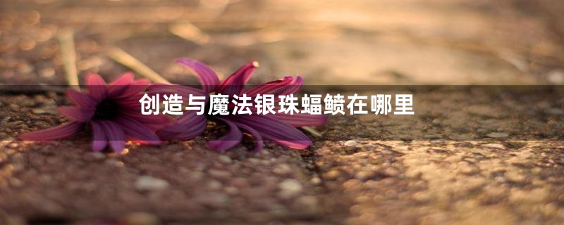 创造与魔法银珠蝠鲼在哪里