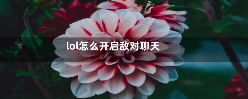 lol怎么开启敌对聊天