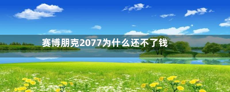 赛博朋克2077为什么还不了钱