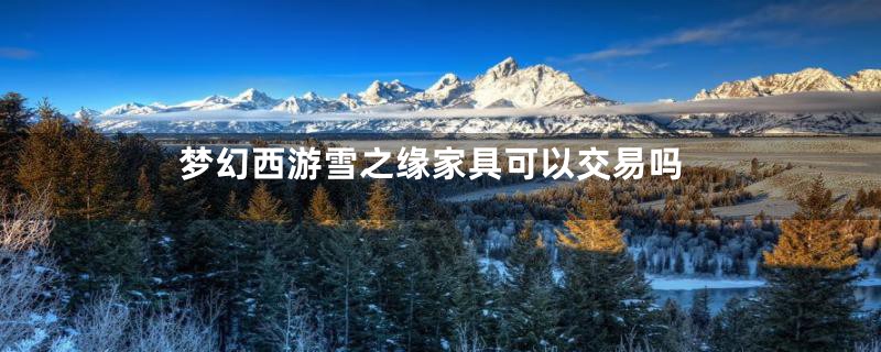 梦幻西游雪之缘家具可以交易吗