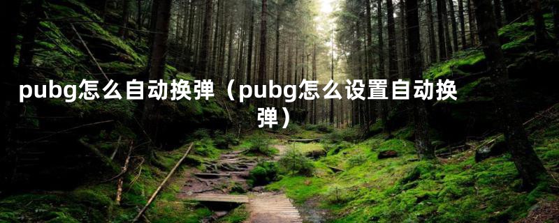 pubg怎么自动换弹（pubg怎么设置自动换弹）