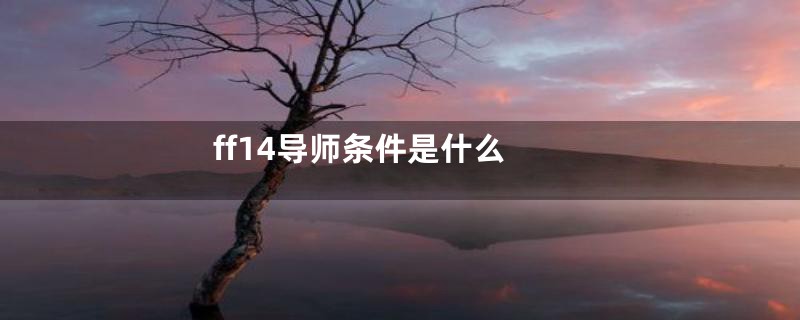 ff14导师条件是什么