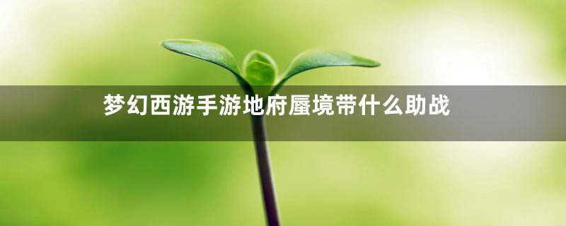 梦幻西游手游地府蜃境带什么助战