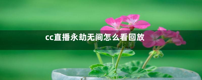 cc直播永劫无间怎么看回放