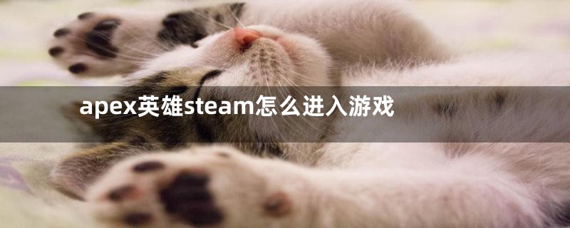 apex英雄steam怎么进入游戏