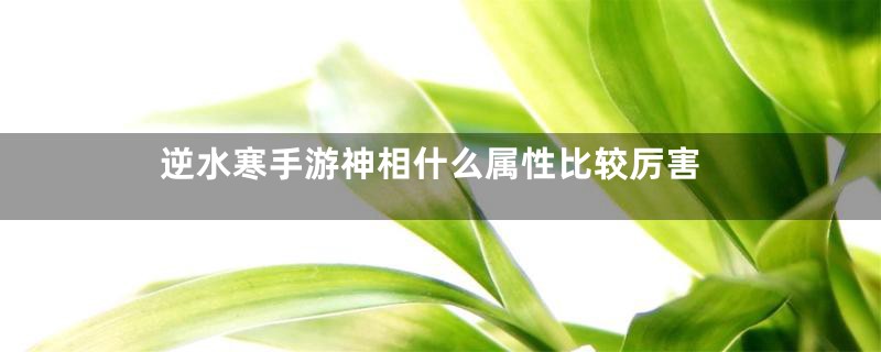 逆水寒手游神相什么属性比较厉害