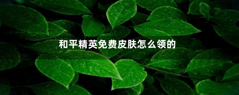 和平精英免费皮肤怎么领的