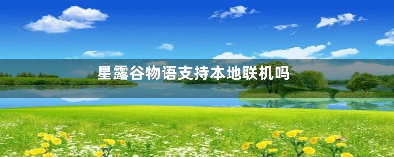 星露谷物语支持本地联机吗