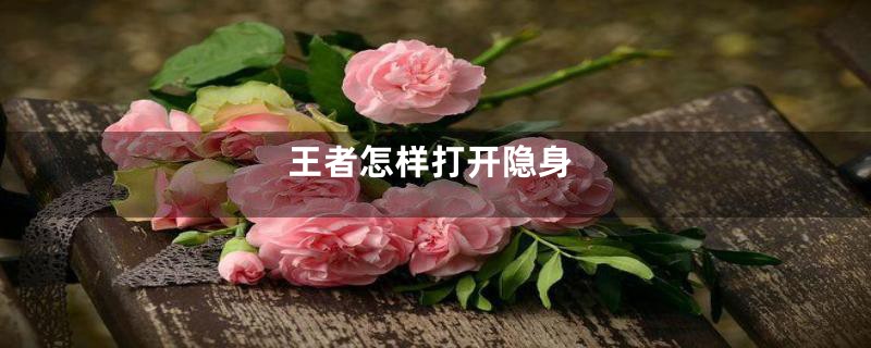 王者怎样打开隐身