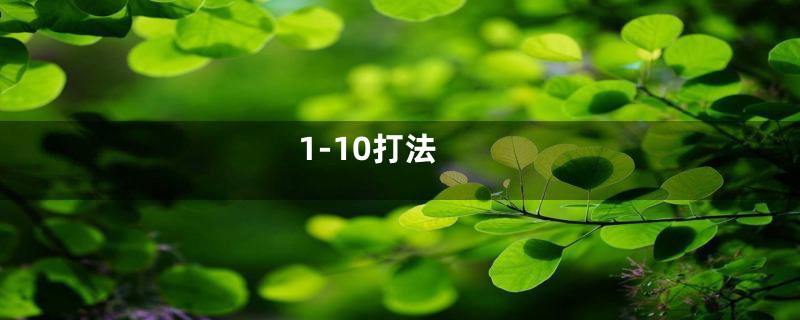 1-10打法