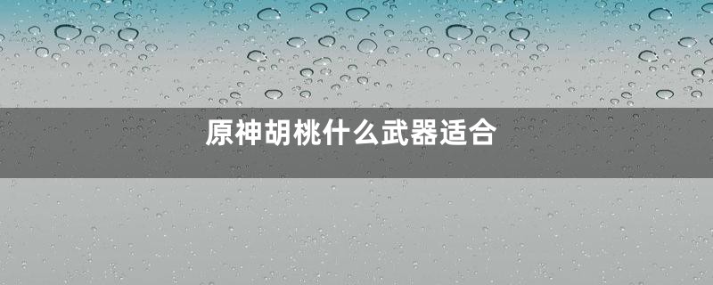 原神胡桃什么武器适合