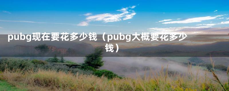 pubg现在要花多少钱（pubg大概要花多少钱）