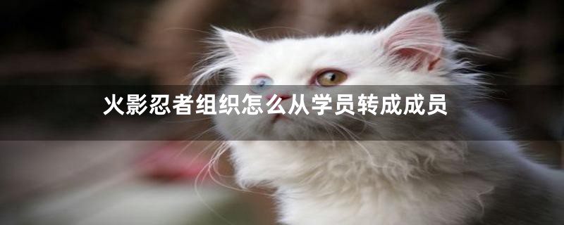 火影忍者组织怎么从学员转成成员