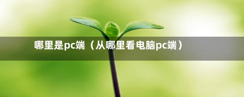 哪里是pc端（从哪里看电脑pc端）