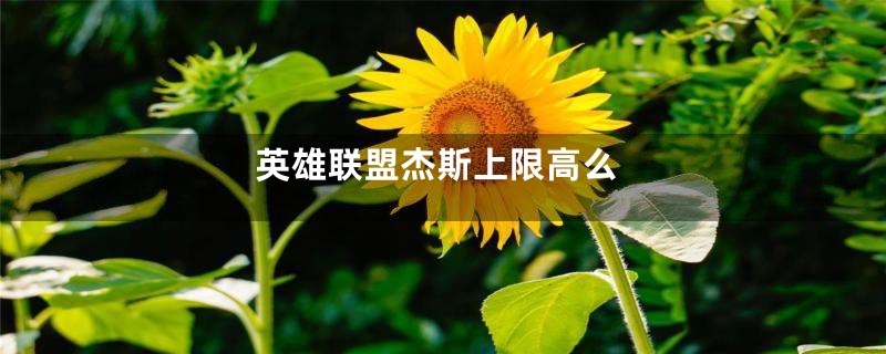 英雄联盟杰斯上限高么