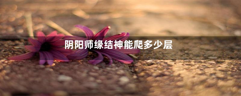 阴阳师缘结神能爬多少层