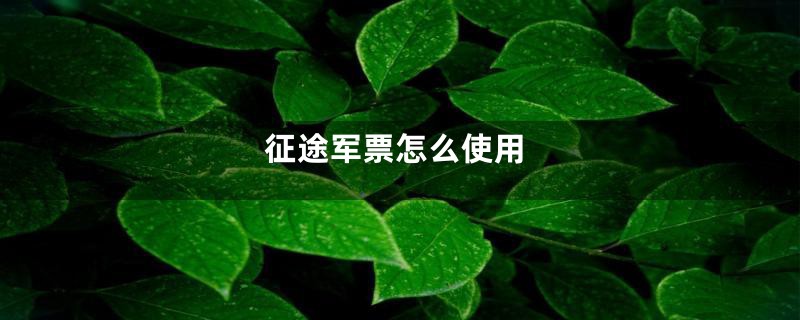 征途军票怎么使用