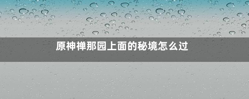 原神禅那园上面的秘境怎么过