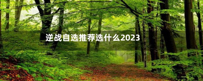 逆战自选推荐选什么2023